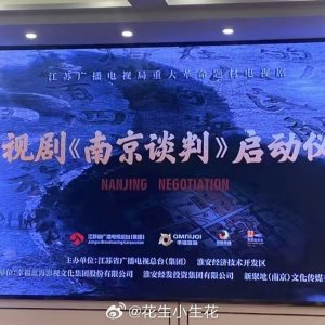 Nanjing Negotiation ()