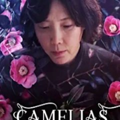 Camellias in Bloom Korean Movie photo