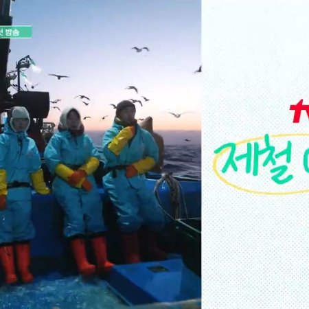 Fresh off the Sea Season 2 (2025)