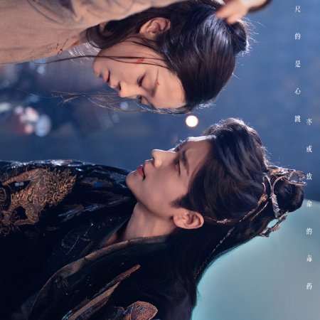 Shadow Love (2025)