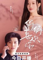 Hide My Love in My Heart Chinese Drama(2025) photo