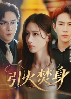 The Fire She Lit (2025) poster