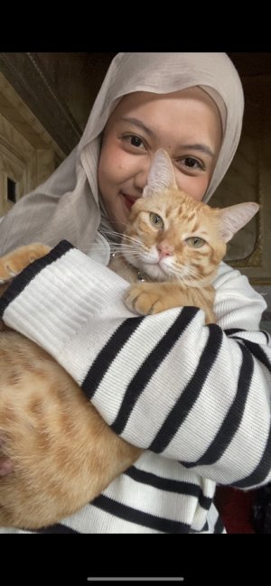 sunggomie