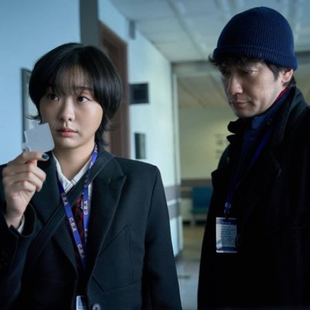 Nine Puzzles (2025)