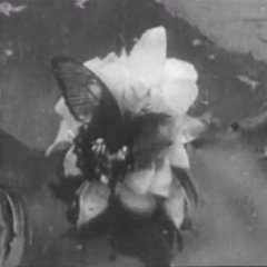 Daybreak Chinese Movie(1933) photo