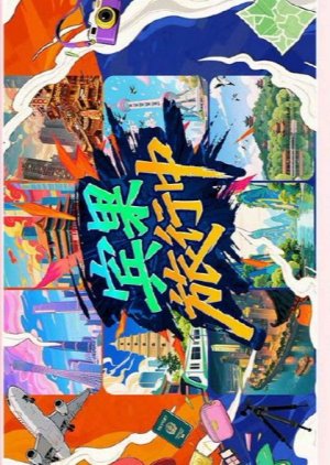 Bin Guo Lv Xing Zhong poster