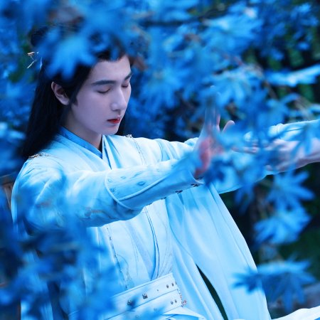 Flying up without Disturb (2025)