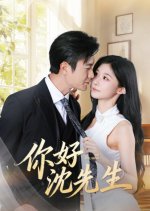 Hi Mr. Shen Chinese Drama(2025) photo
