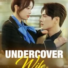 Please Fall in Love with Me When It’s Foggy Chinese Drama(2025) photo