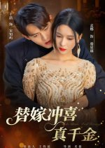 Fake Bride, Real Revenge Chinese Drama(2025) photo