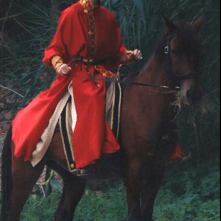 Jiang Shan Wei Pin ()