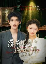 Luo Hua Cuo Fu Yu Ming Yue Chinese Drama(2025) photo