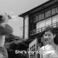 Everything Goes Wrong Japanese Movie photo