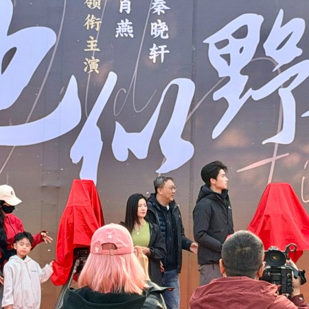 Ta Si Ye Huo ()