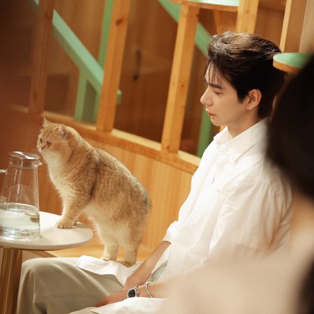 Love on the Turquoise Land (2025)