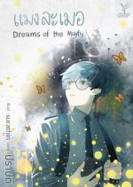 Dreams of the Mayfly Thai Drama(0000) photo
