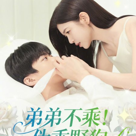 Sniper Butterfly (2025)