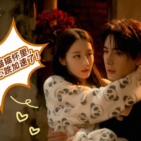 Love on the Turquoise Land (2025)