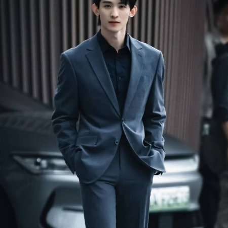 The Vanishing Beauty ()