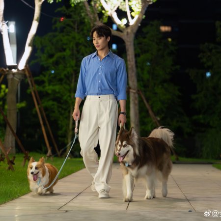 Heart Signal Season 8 (2025)