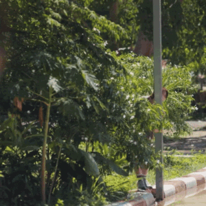 Guess The BL/Bromance By The Random Screenshot (Part 3)