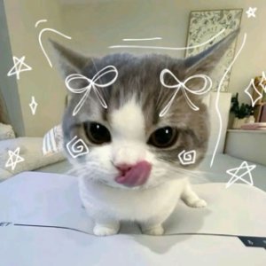 totallynotkat