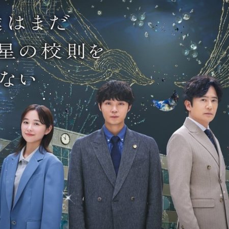 School Lawyer: Finding the Colors of the Stars (2025)
