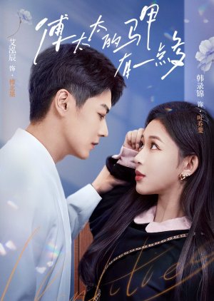 Mysterious Mrs. Fu (2025) poster
