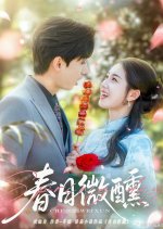 Spring Day Chinese Drama(2025) photo