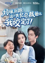 Ma Mi Bie Pao, Zhe Ge Shi Yi Zong Cai Ba Bi Wo Yao Ding Le! Chinese Drama(2025) photo