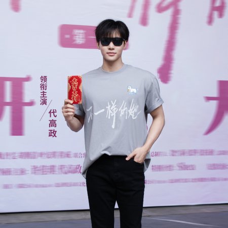 The Unique Her: Lin An ()