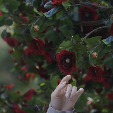 Love Never Fails (2025)