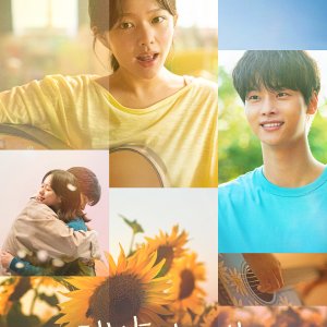 Midnight Sun (2025)