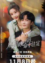 You Are My Destiny Chinese Drama(2024) photo