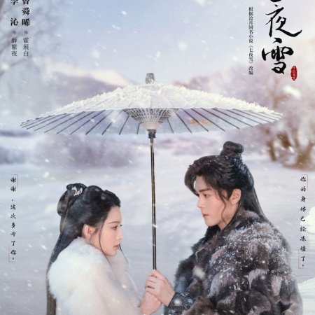 Snowy Night Timeless Love (2024)