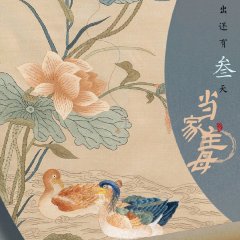 Marvelous Women Chinese Drama photo