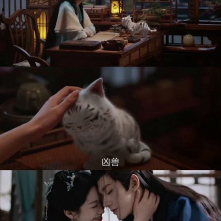 Love of the Divine Tree (2025)