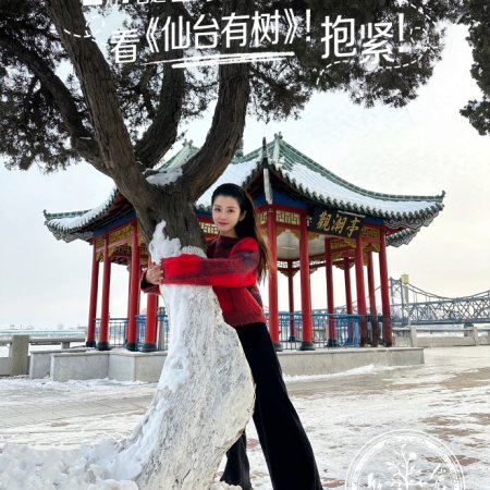 Love of the Divine Tree (2025)