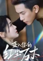 Falling into Your Mortal World Chinese Drama(2025) photo