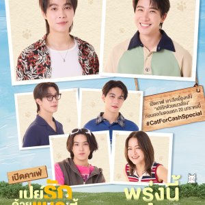 Cat for Cash Special (2026)