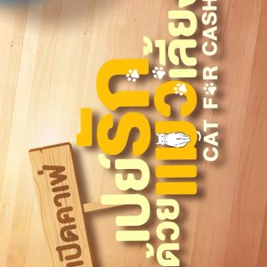 Cat for Cash Special (2026)