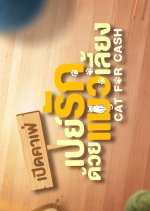 Cat for Cash Special Thai TV Program(2026) photo