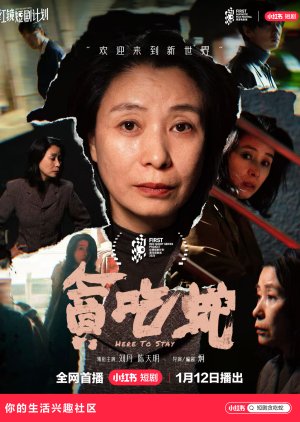 Here to Stay (2026) poster