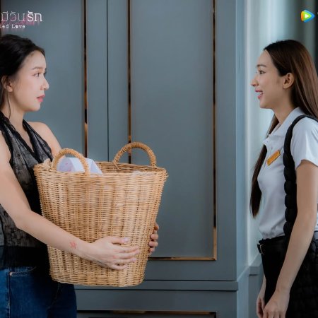 Denied Love Special Endless (2026)