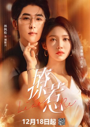 Provocative Love (2025) poster