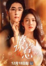 Provocative Love Chinese Drama(2025) photo