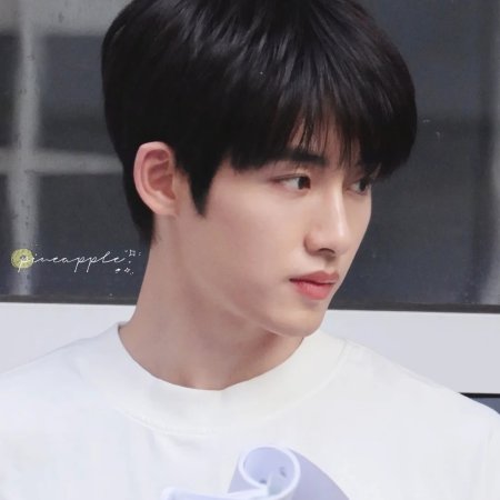 Sunshine through the Rain ()