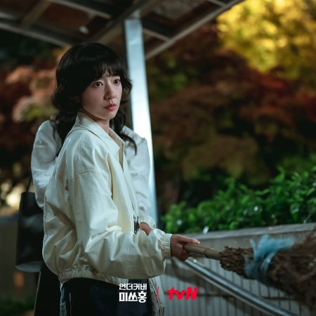 Undercover Miss Hong (2026)