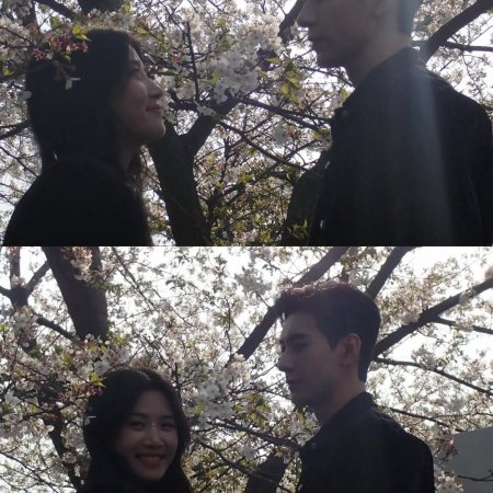 Love between Lines (2026)