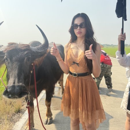 Hometown Romance (2026)